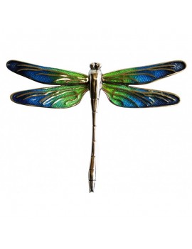 Dragonfly Gaudi Trencadis...