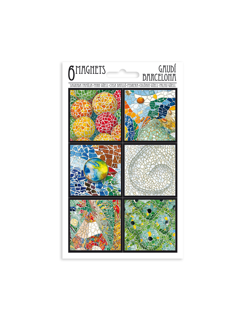 6 Mosaic Magnets Set  