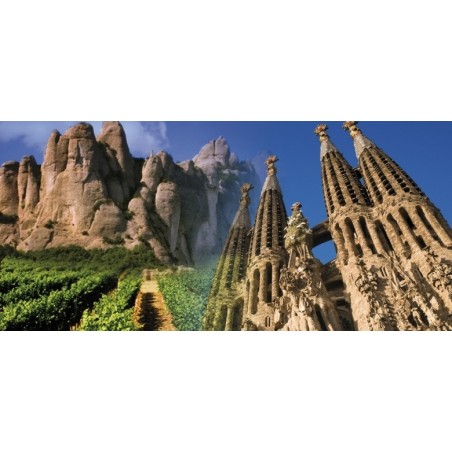 Combo Montserrat i Codorníu + Sagrada Família