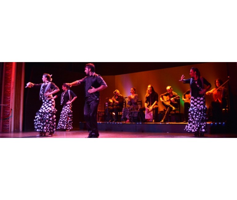 Palacio del Flamenco Show with optional Tapas Menu